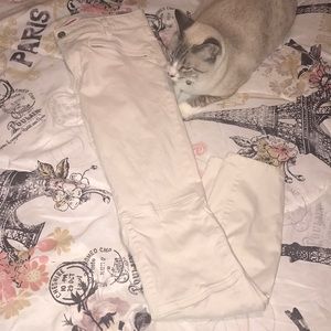 Like New Tommy Hilfiger moto style jeggings size 8